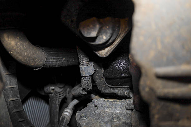 Triệu chứng hộp số hỏng & chi phí thay thế: Hướng dẫn đầy đủ cho chủ xe