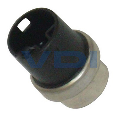 Cảm biến nhiệt độ nước làm mát 251 919 501